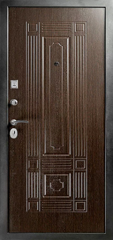 Стальная дверь Порошок №10
